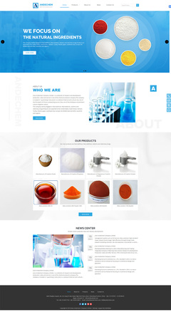 濟(jì)南外貿(mào)公司網(wǎng)站建設(shè)-化工網(wǎng)站制作案例