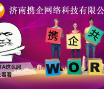 濟(jì)南企業(yè)網(wǎng)站開發(fā)及新媒體推廣策略